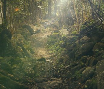 Das krimsche Märchen der Neuzeit